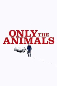 Only the Animals 2019 one on netflix