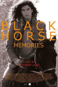 Black Horse Memories 2015 one on netflix