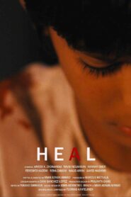 Heal 2010 one on netflix