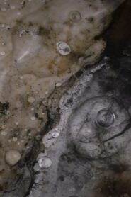 Entropic Memory 2024 one on netflix
