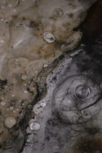 Entropic Memory 2024 one on netflix