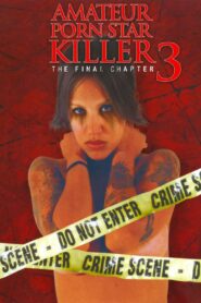 Amateur Porn Star Killer 3: The Final Chapter 2009 one on netflix