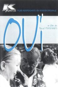 Oui 1995 one on netflix