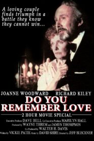 Do You Remember Love 1985 one on netflix