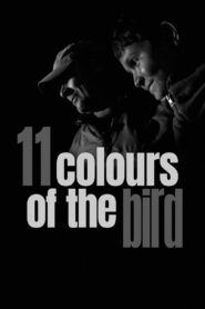 11 Colours of the Bird 2020 one on netflix