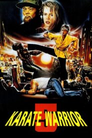 Karate Warrior 5 1992 one on netflix