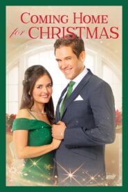 Coming Home for Christmas 2017 one on netflix