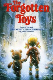 The Forgotten Toys 1995 one on netflix
