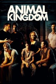 Animal Kingdom 2010 one on netflix