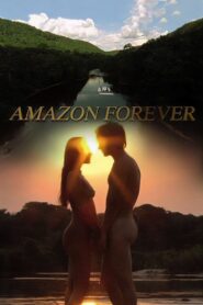 Amazon Forever 2004 one on netflix