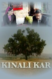 Kınalı Kar 2002 one on netflix