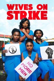 Wives on Strike 2016 one on netflix