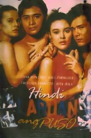 Hindi Laruan Ang Puso 1990 one on netflix