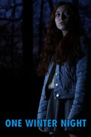 One Winter Night 2019 one on netflix