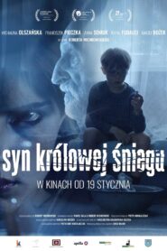 Son of the Snow Queen 2017 one on netflix