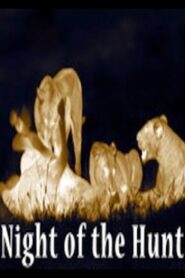 Night of the Hunt 2011 one on netflix