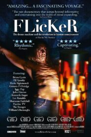 FLicKeR 2009 one on netflix