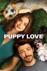 Puppy Love 2023 one on netflix