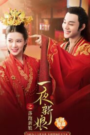 一夜新娘之落跑新娘 2021 one on netflix
