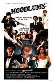 Hoodlums 1980 one on netflix