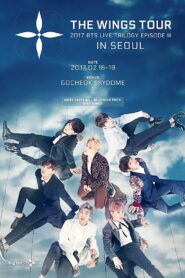 2017 BTS LIVE TRILOGY EPISODE III: THE WINGS TOUR IN SEOUL 2018 one on netflix