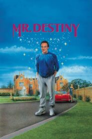 Mr. Destiny 1990 one on netflix