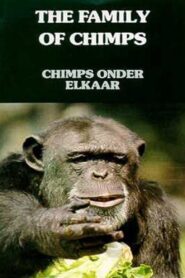 The Family of Chimps 1984 one on netflix