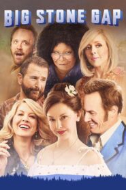 Big Stone Gap 2014 one on netflix