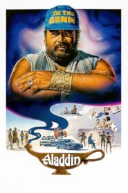 Aladdin 1986 one on netflix