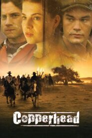Copperhead 2013 one on netflix