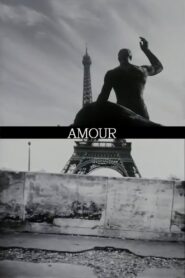 Amour 1997 one on netflix