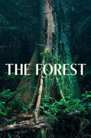 The Forest 2024 one on netflix
