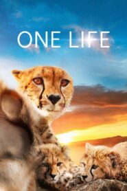 One Life 2011 one on netflix
