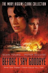 Before I Say Goodbye 2003 one on netflix