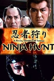 Ninja Hunt 1982 one on netflix
