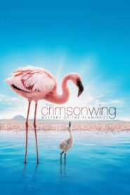 The Crimson Wing: Mystery of the Flamingos 2008 one on netflix