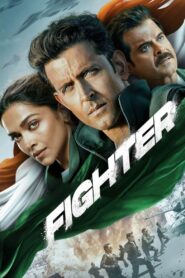 Fighter 2024 one on netflix