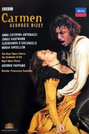 Carmen 2007 one on netflix