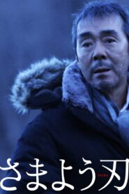 The Hovering Blade 2009 one on netflix