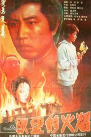 Yu wang de huo yan 1988 one on netflix