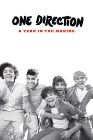 One Direction: A Year in the Making 2011 one on netflix