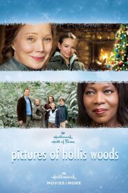 Pictures of Hollis Woods 2007 one on netflix