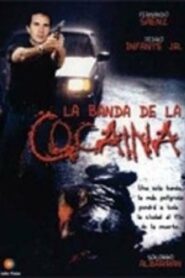Un ingeniero en la capital 1999 one on netflix