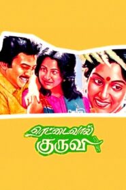 Rettai Vaal Kuruvi 1987 one on netflix