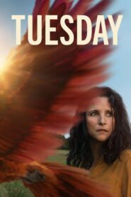 Tuesday 2024 one on netflix