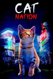 Cat Nation 2017 one on netflix
