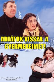 Rivoglio i miei figli 2004 one on netflix