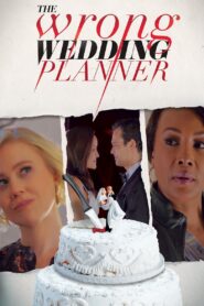 The Wrong Wedding Planner 2020 one on netflix