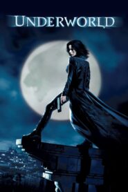Underworld 2003 one on netflix
