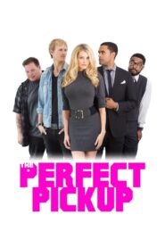 The Perfect Pickup 2018 one on netflix
